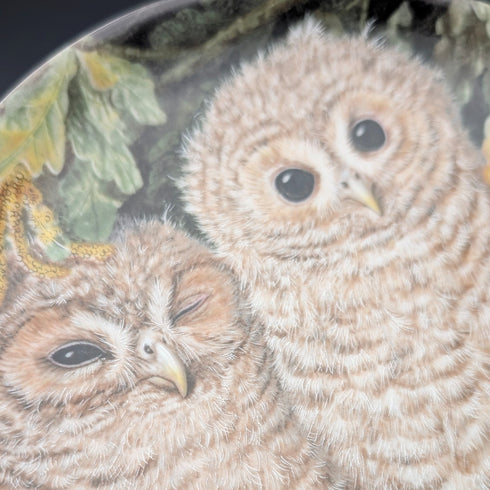 英國復古韋奇伍德嬰兒貓頭鷹系列藝術盤 4 件套